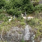 Photo taken by Barbara R