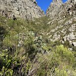 Photo taken by Brad P