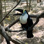 Photo taken by Veronica T