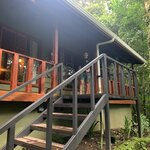 Arrival to cabin MonteVerde .  5 howler monkeys awaiting us. | Photo taken by Diane B