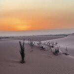 Photo taken by Hillel S