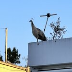 Photo taken by Sallye M