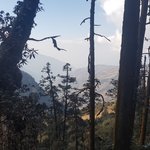 Photo taken by Amy S