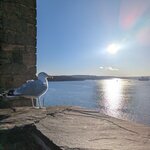 Photo taken by Sarah B