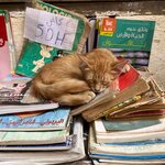 Photo taken by Lindsey B