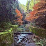 Photo taken by Derek A