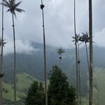 Photo taken by Carine D