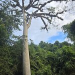 Photo taken by Alexandre M