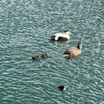 Photo taken by Dawn S