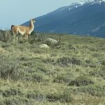 Photo taken by Gillian O