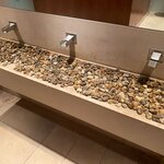 Photo taken by Anne H