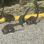 Photo taken by Alexia M