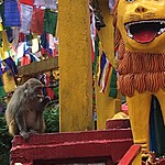 Observatory Hill | Photo taken by carole c