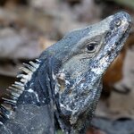 Photo taken by Joyce C