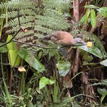 Photo taken by Ben B