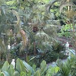 Photo taken by JULIE M