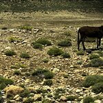 Photo taken by Julie A