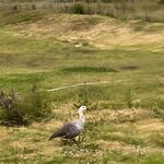 Photo taken by Rahul S