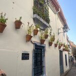 Photo taken by Ellyn A