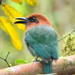 Photo taken by Matt P