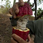 Photo taken by Sabine V