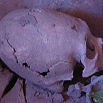 Photo taken by Jason P