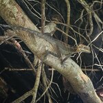 Photo taken by Blair H