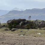 Photo taken by Tom B