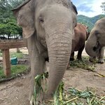 Photo taken by Dianne M