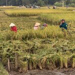 Photo taken by Colin M