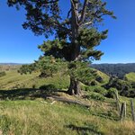 Photo taken by Mary K