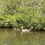 Photo taken by Dawn S