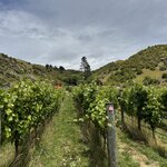 Photo taken by Jessee H