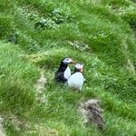 Photo taken by Amy W