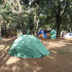 Photo taken by Kristin M