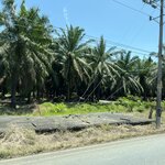 Photo taken by Joyce C