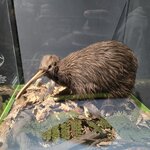 Photo taken by Thao T