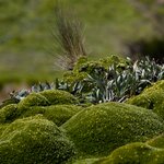 Photo taken by Sabine V