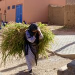 The burden of Berber life | Photo taken by Rod K
