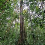 Photo taken by Jeff G