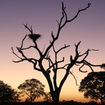 Photo taken by Kelvin V