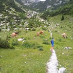 Photo taken by Janis R