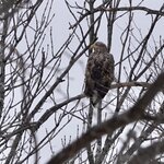 Photo taken by Iain M