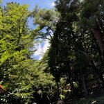 Photo taken by Nicoline v