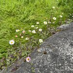 Photo taken by Catherine H