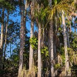 Photo taken by Erica A