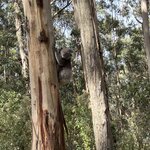 Photo taken by Amy Z