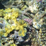 Photo taken by Susan D