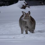 Photo taken by Iain M