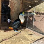 Photo taken by Amanda H